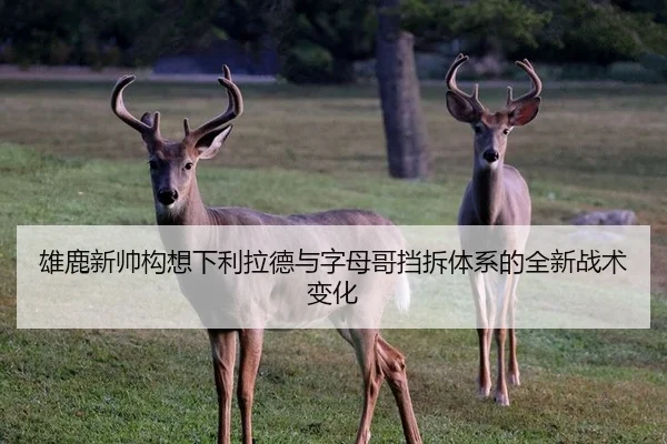 雄鹿新帅构想下利拉德与字母哥挡拆体系的全新战术变化