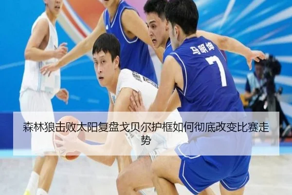 森林狼击败太阳复盘戈贝尔护框如何彻底改变比赛走势
